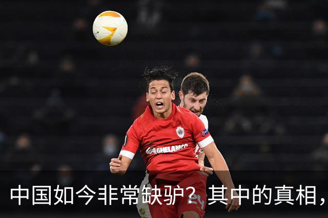 中国如今非常缺驴？其中的真相，比你想象的还要荒诞得多