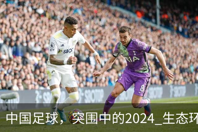 中国足球，突围中的2024 生态环境将实现好转