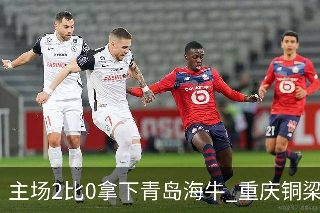 主场2比0拿下青岛海牛 重庆铜梁龙终结12轮不胜