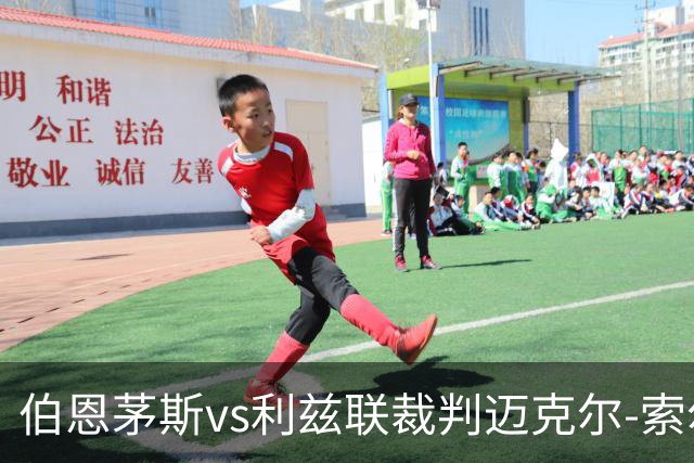 伯恩茅斯vs利兹联裁判迈克尔-索尔兹伯里数据：近20场3红80黄7点