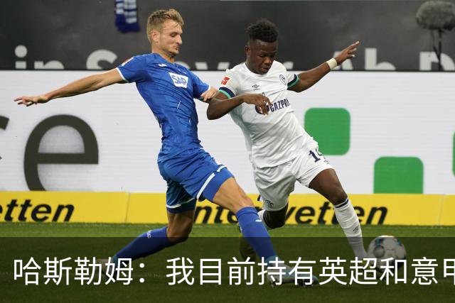 哈斯勒姆：我目前持有英超和意甲两家足球俱乐部的股份