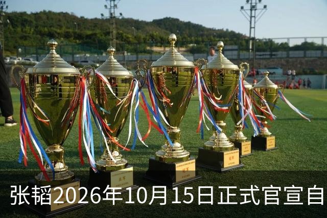 张韬2026年10月15日正式官宣自己离开CCTV-13了，工作有了新调动