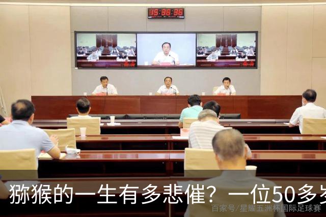 猕猴的一生有多悲催？一位50多岁的护林员告诉我，大部分人不知道，一只猕猴当上新猴王之后，会先把前任猴王的幼崽给杀掉，然后再与猴群