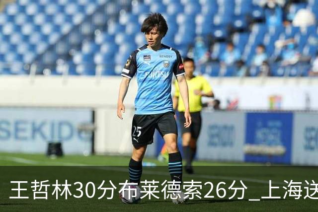 王哲林30分布莱德索26分 上海送宁波12连败