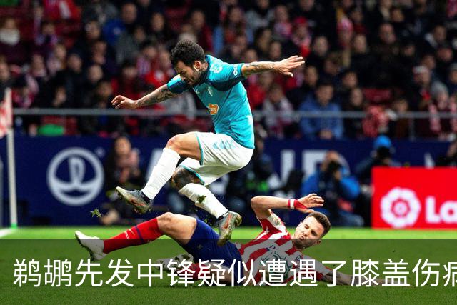 鹈鹕先发中锋疑似遭遇了膝盖伤病他可能需要长期缺阵？