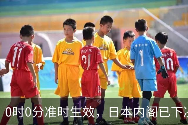 0时0分准时生效，日本内阁已下决心，对中国加税，最高顶格出手