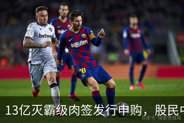 13亿灭霸级肉签发行申购，股民中签较容易，中了注定吃大肉！