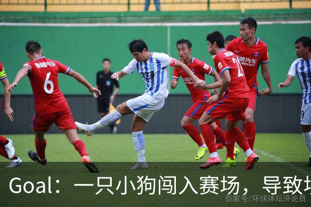 Goal：一只小狗闯入赛场，导致埃及联赛中断